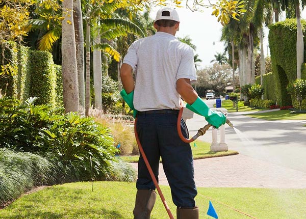 About Semmes AL Pest Control